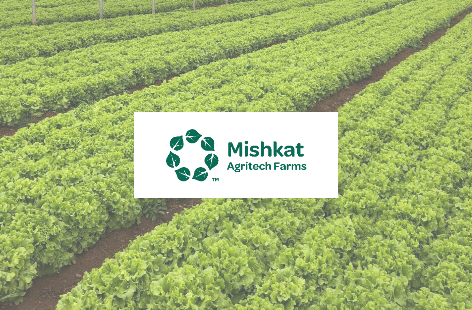 Technaureus  ERP Implementation Project - Mishkat Farms