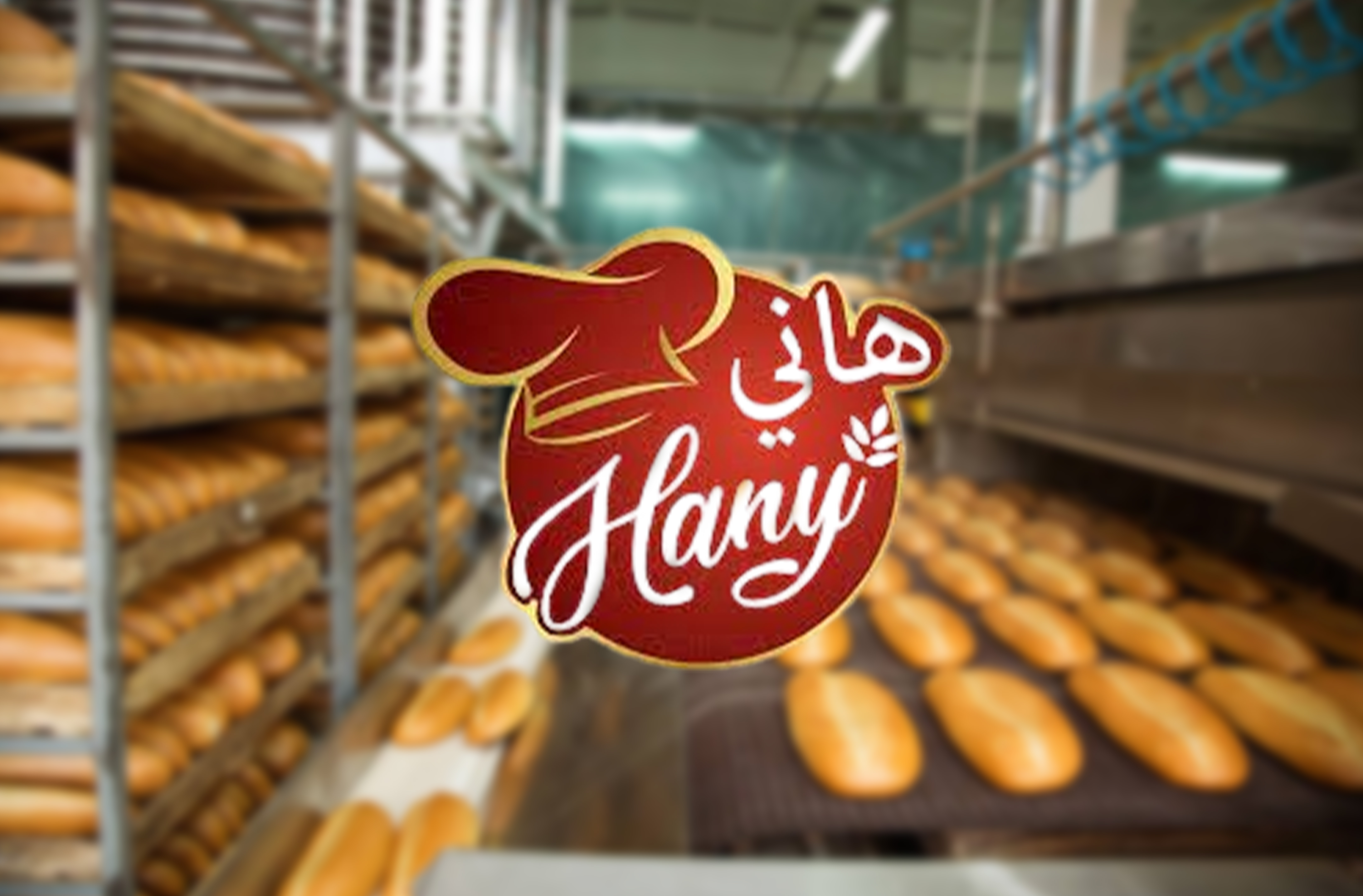 Hany Bakery, Odoo ERP Transition, Case Study Success, Bakery Industry Solutions, ERP Implementation Journey, Business Efficiency Improvement, Successful ERP Transition, Odoo Success Story, Bakery Operations Optimization, ERP Impact on Bakery