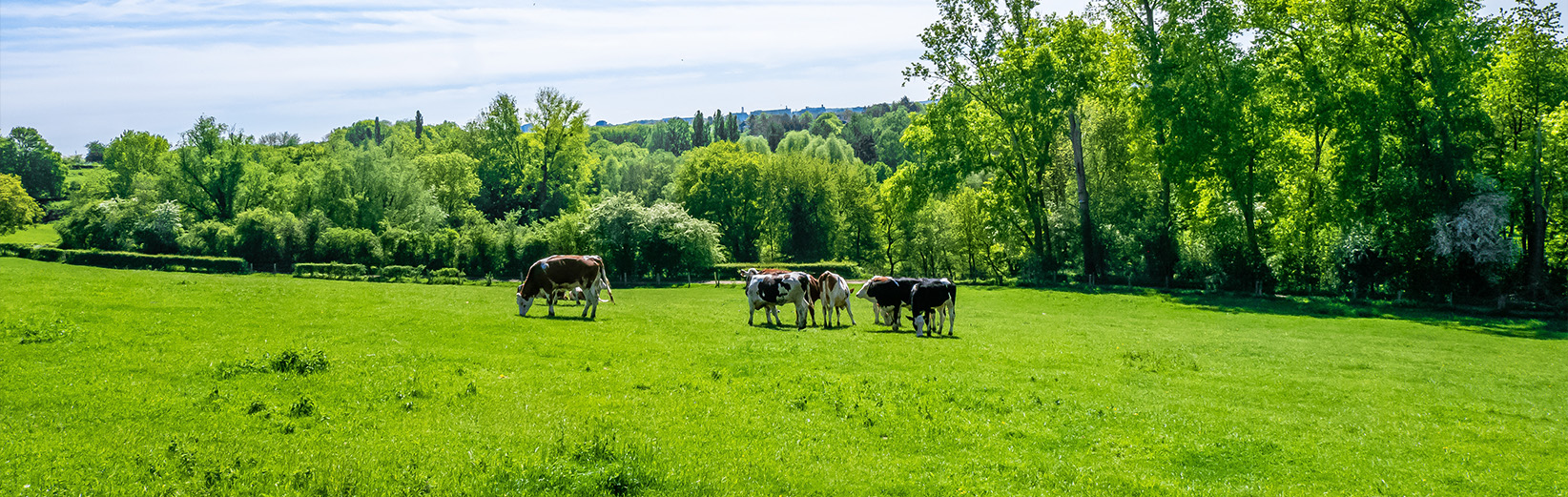 Technaureus  ERP Implementation Project - Mishkat Farms